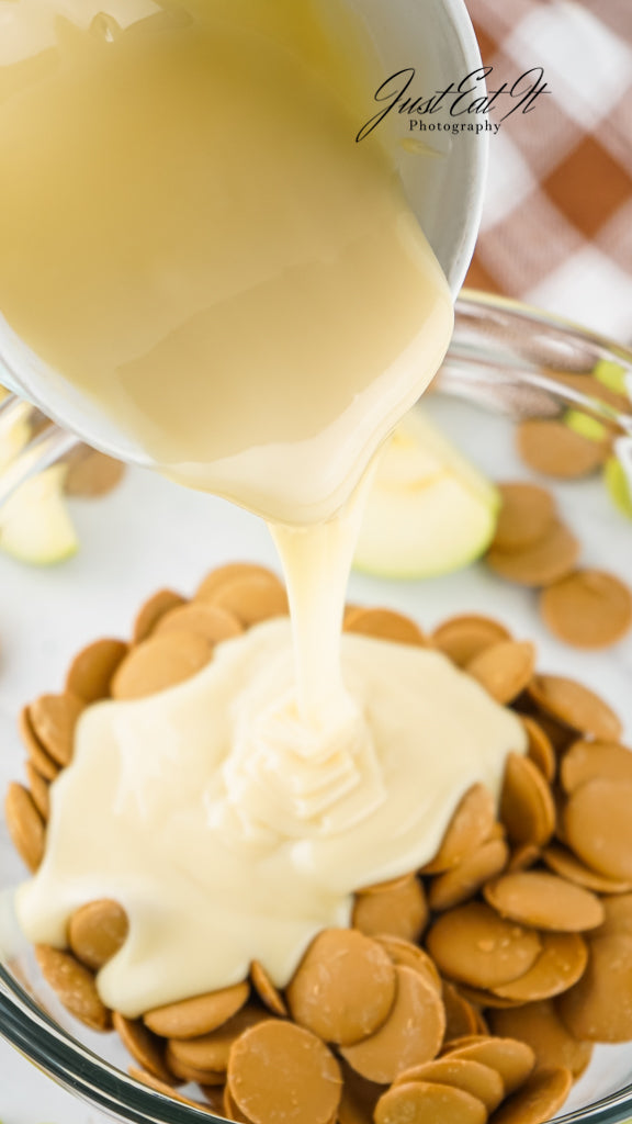 Limited PLR Caramel Apple Fudge