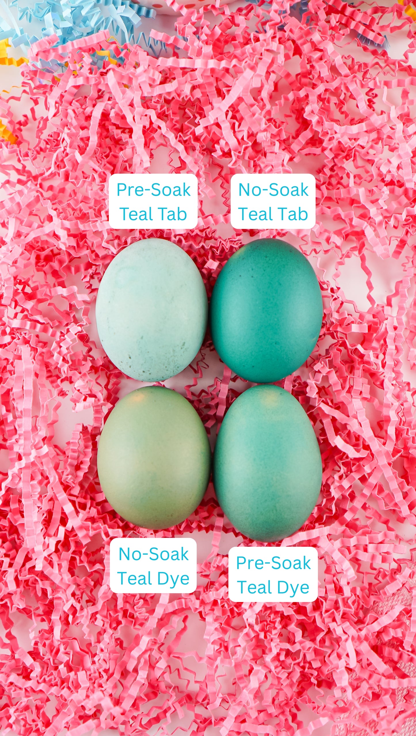 Limited PLR How to Dye Brown Eggs