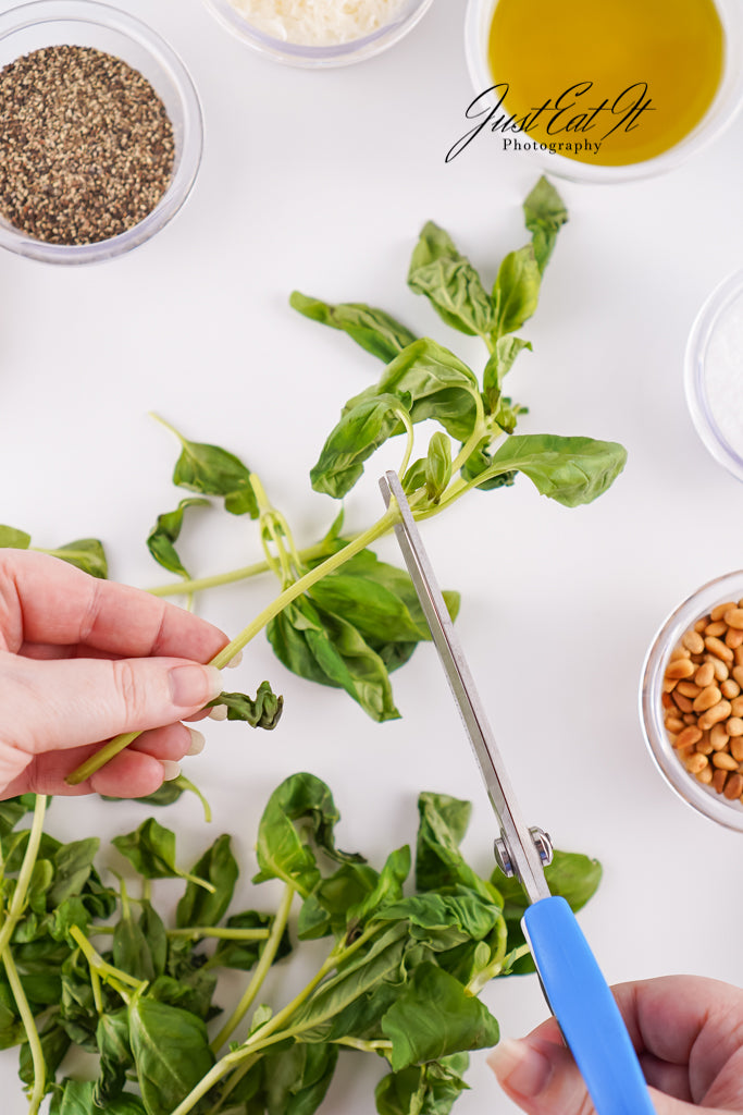 Limited PLR Homemade Pesto
