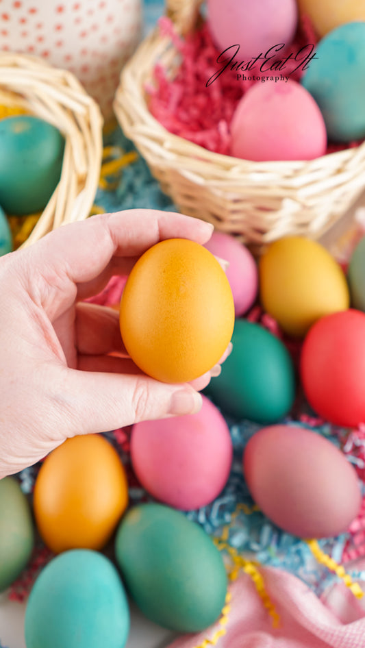 Limited PLR How to Dye Brown Eggs