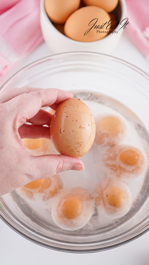 Limited PLR How to Dye Brown Eggs