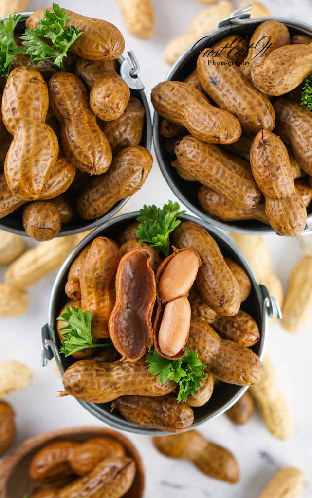 Limited PLR Instant Pot Boiled Peanuts