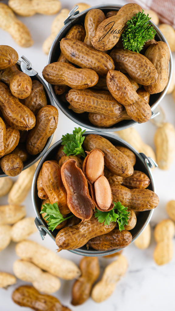 Limited PLR Instant Pot Boiled Peanuts