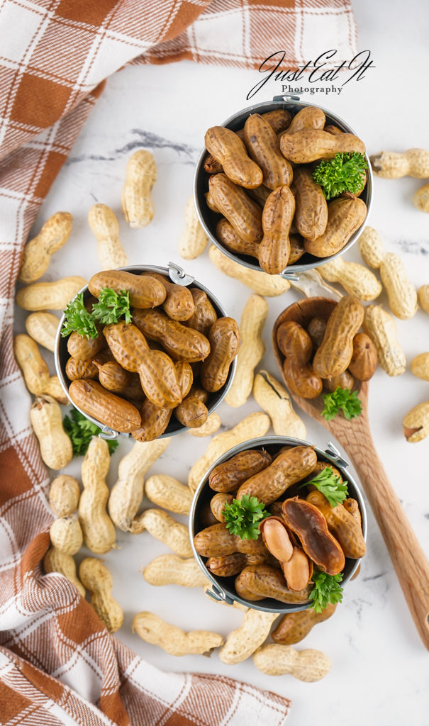 Limited PLR Instant Pot Boiled Peanuts