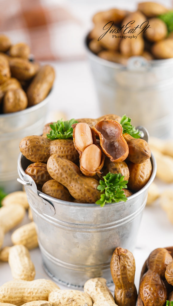 Limited PLR Instant Pot Boiled Peanuts