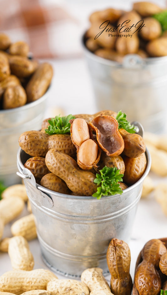 Limited PLR Instant Pot Boiled Peanuts