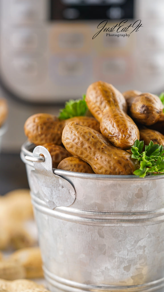 Limited PLR Instant Pot Boiled Peanuts