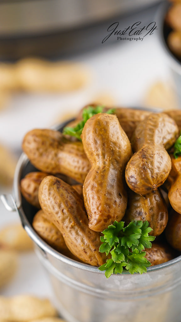 Limited PLR Instant Pot Boiled Peanuts