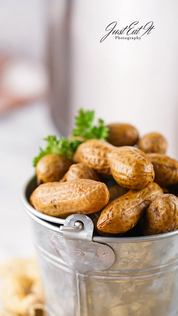 Limited PLR Instant Pot Boiled Peanuts