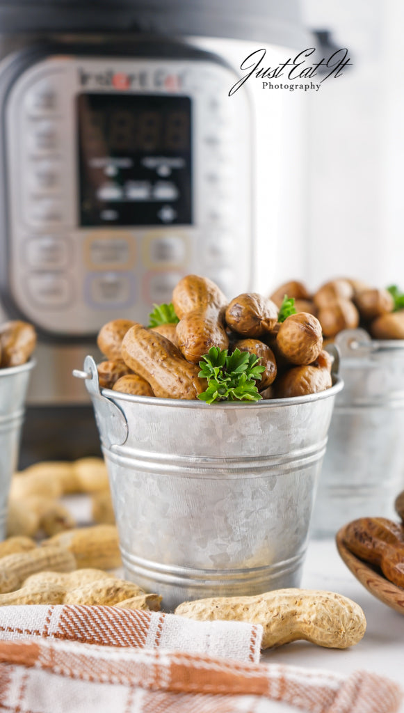 Limited PLR Instant Pot Boiled Peanuts