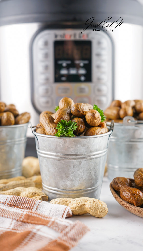 Limited PLR Instant Pot Boiled Peanuts