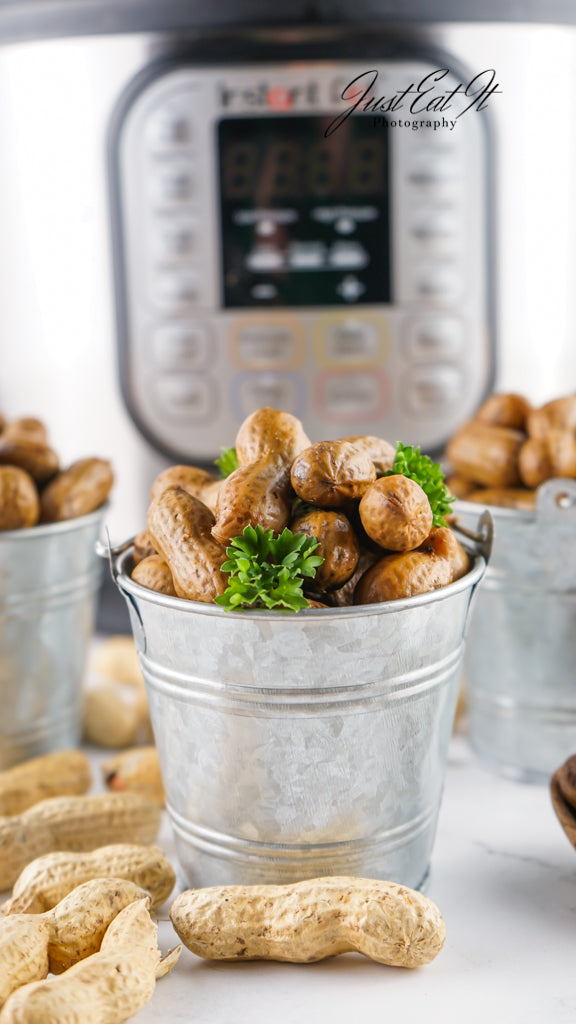 Limited PLR Instant Pot Boiled Peanuts
