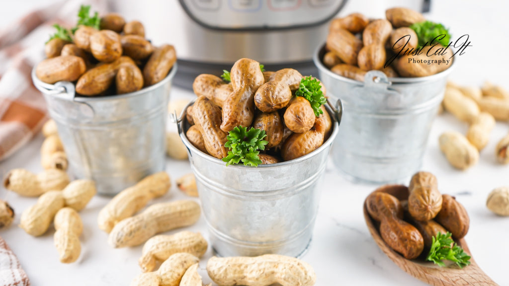 Limited PLR Instant Pot Boiled Peanuts