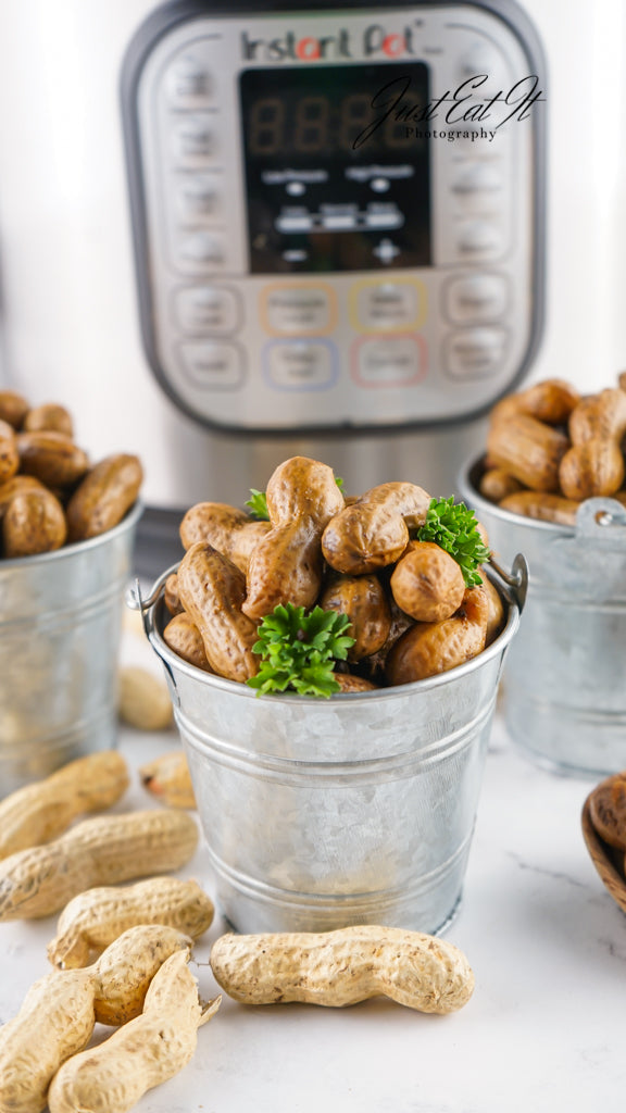 Limited PLR Instant Pot Boiled Peanuts