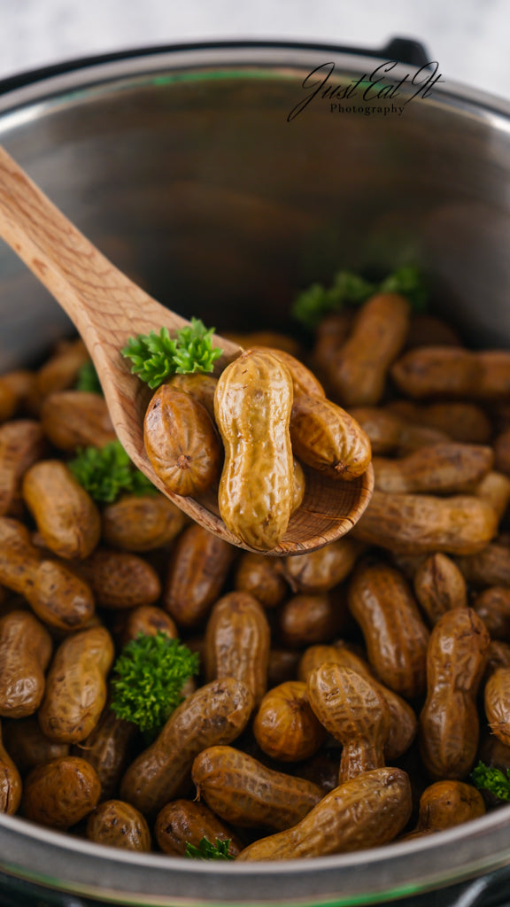 Limited PLR Instant Pot Boiled Peanuts