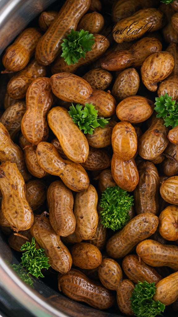 Limited PLR Instant Pot Boiled Peanuts