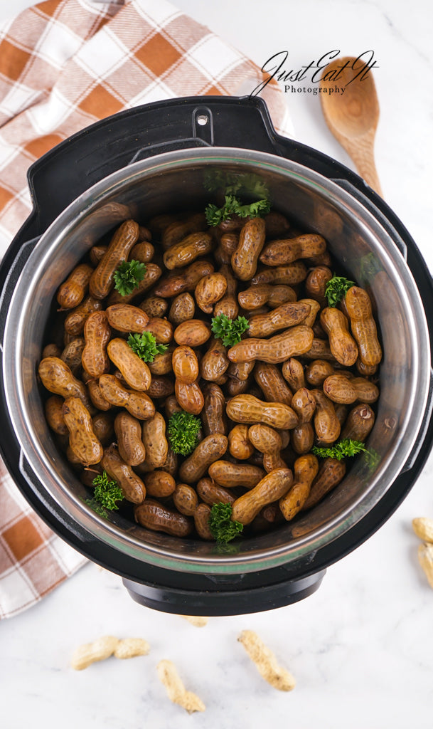 Limited PLR Instant Pot Boiled Peanuts