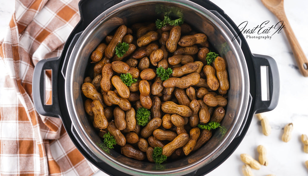 Limited PLR Instant Pot Boiled Peanuts