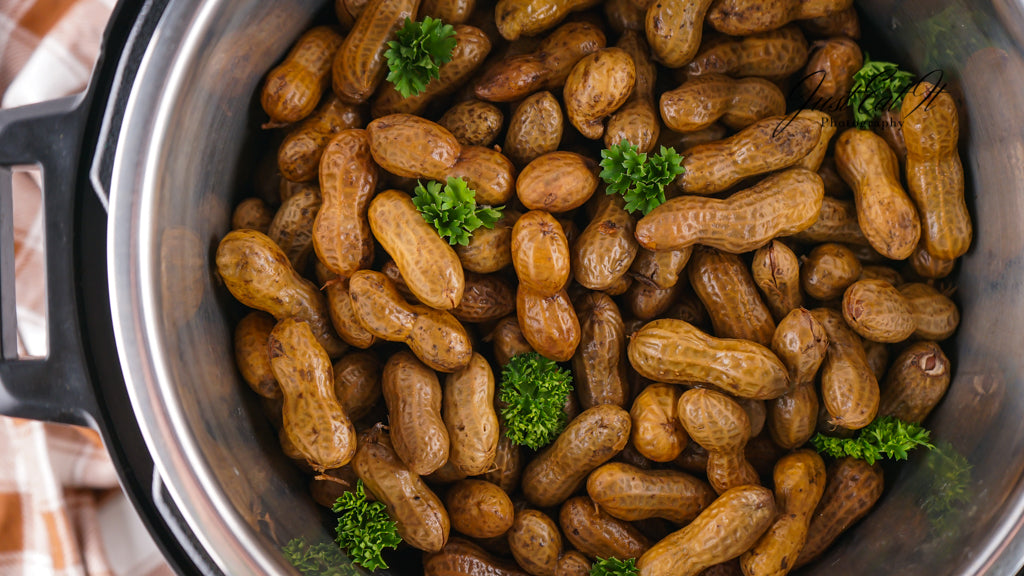 Limited PLR Instant Pot Boiled Peanuts