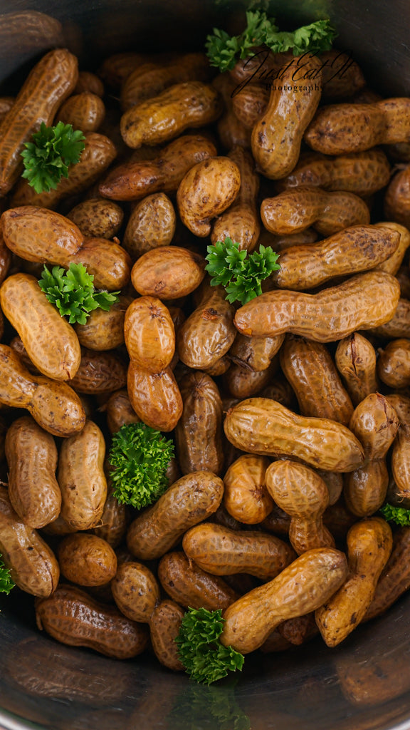 Limited PLR Instant Pot Boiled Peanuts