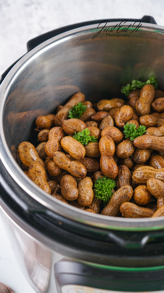 Limited PLR Instant Pot Boiled Peanuts
