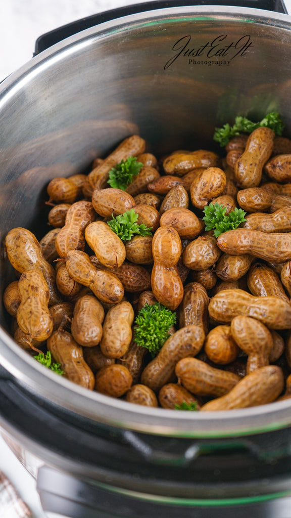 Limited PLR Instant Pot Boiled Peanuts