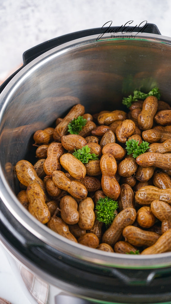 Limited PLR Instant Pot Boiled Peanuts