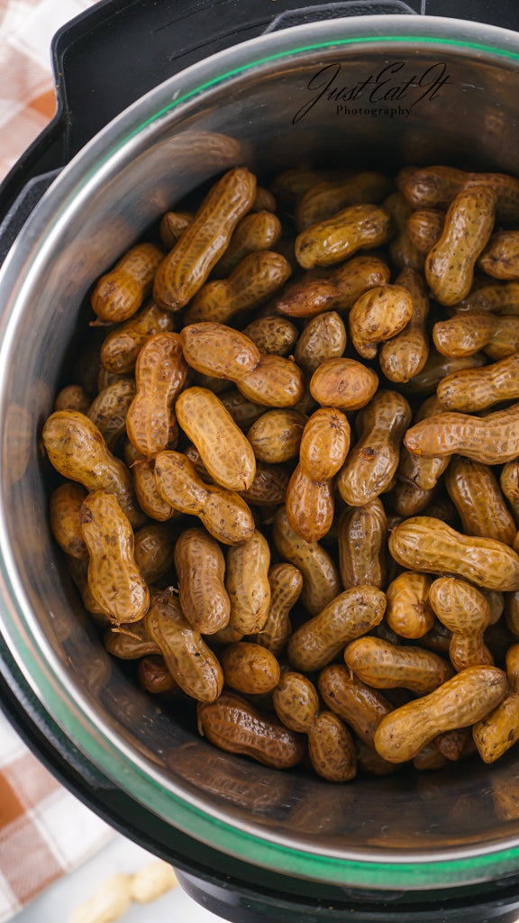 Limited PLR Instant Pot Boiled Peanuts