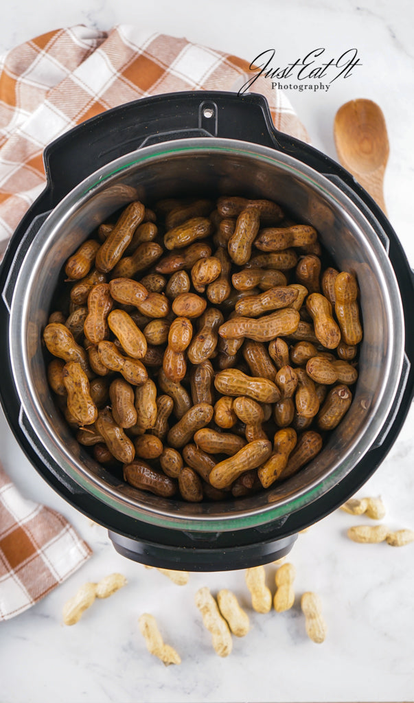 Limited PLR Instant Pot Boiled Peanuts