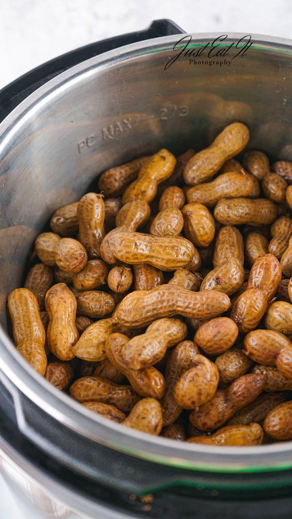 Limited PLR Instant Pot Boiled Peanuts