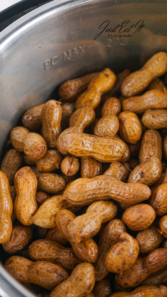 Limited PLR Instant Pot Boiled Peanuts