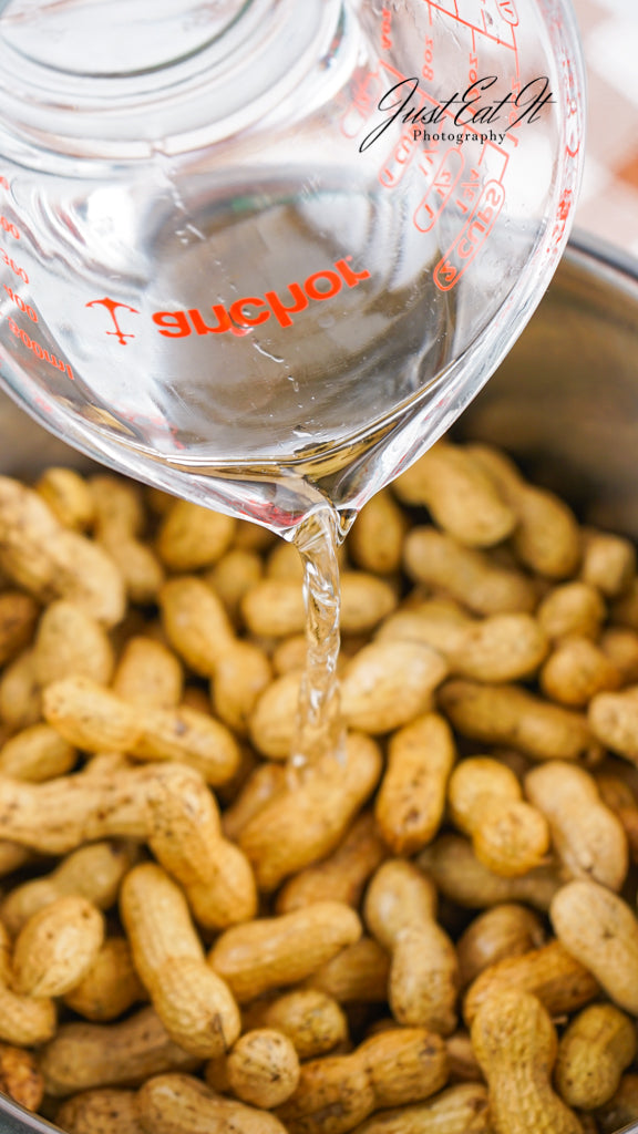 Limited PLR Instant Pot Boiled Peanuts