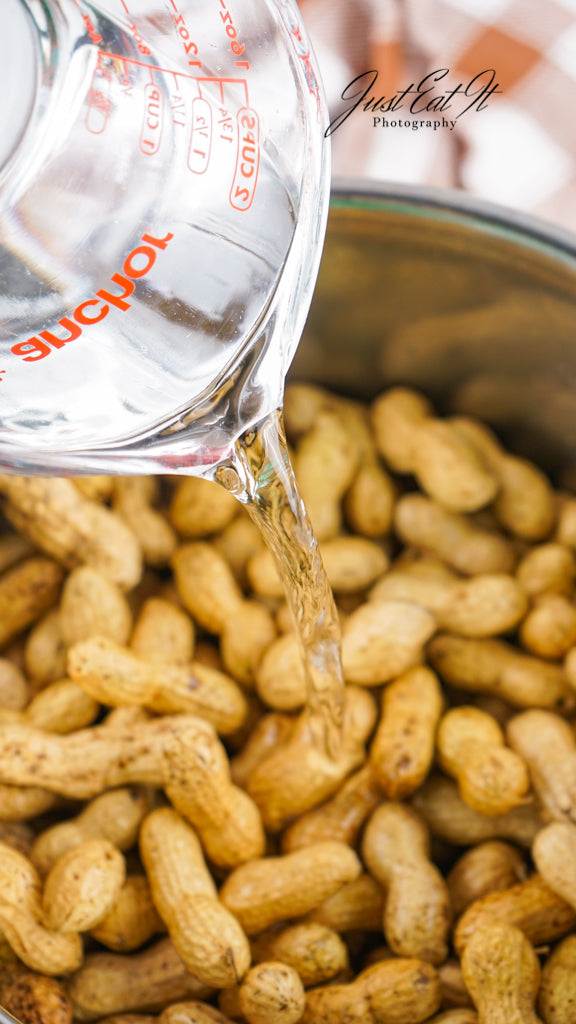 Limited PLR Instant Pot Boiled Peanuts
