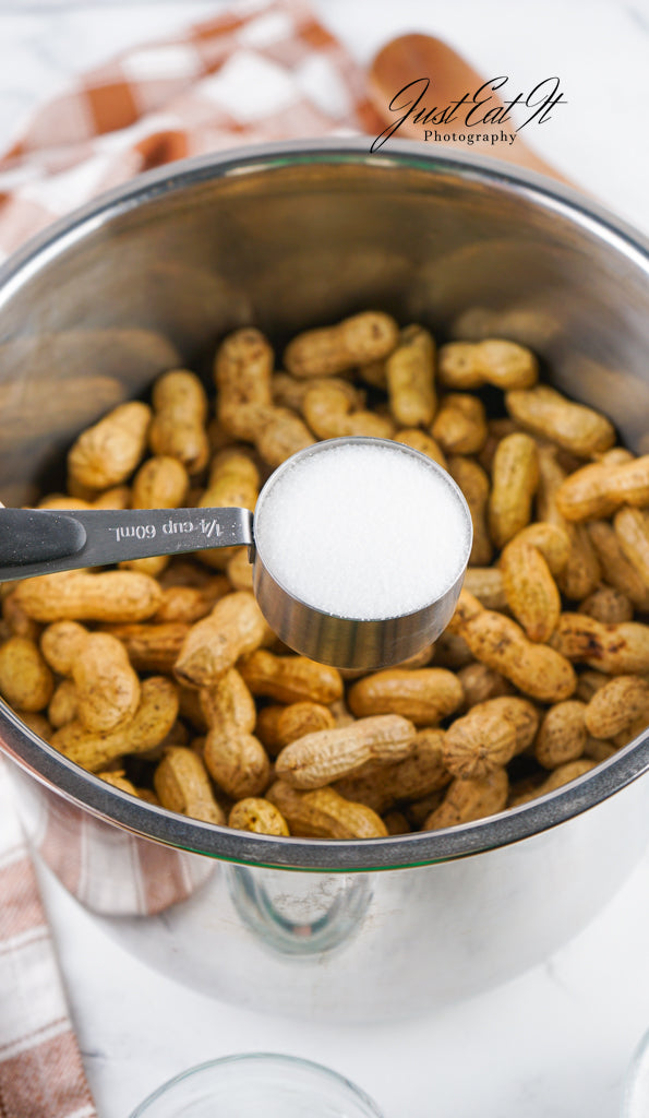 Limited PLR Instant Pot Boiled Peanuts