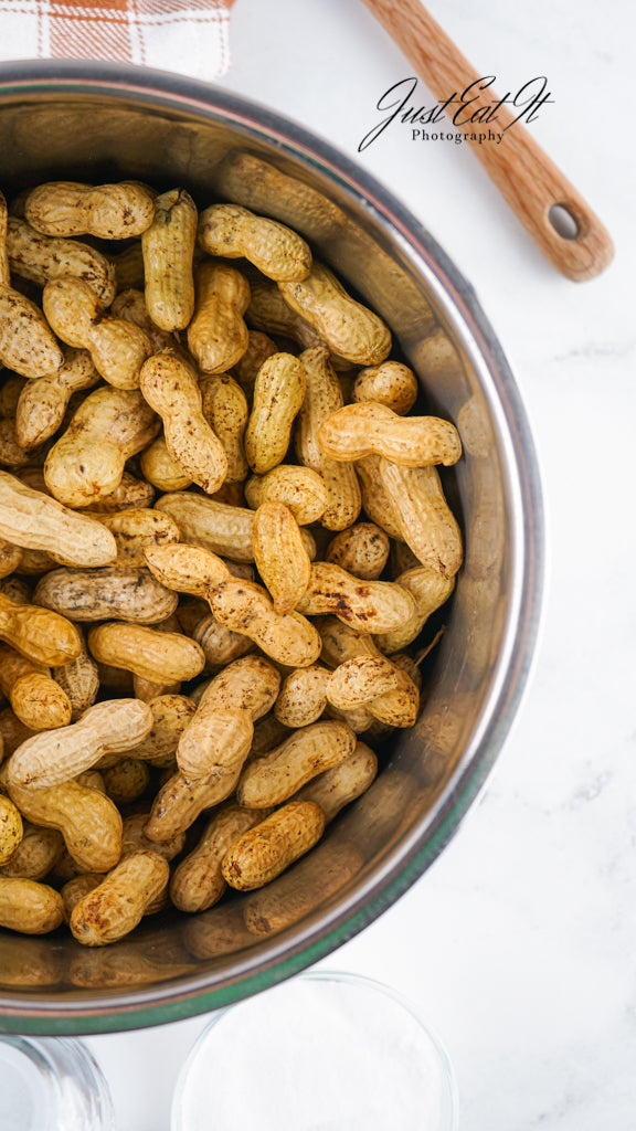 Limited PLR Instant Pot Boiled Peanuts