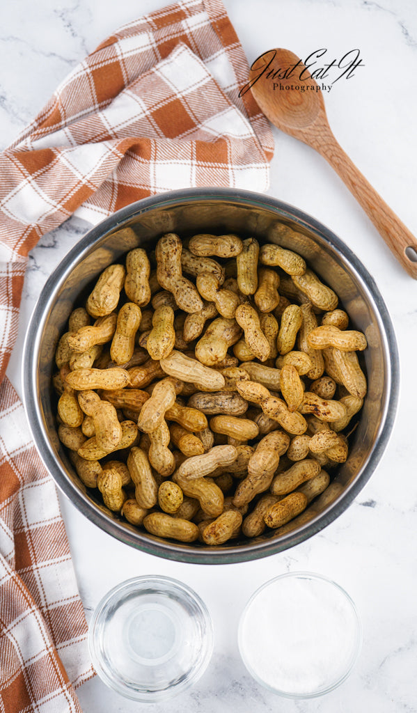 Limited PLR Instant Pot Boiled Peanuts