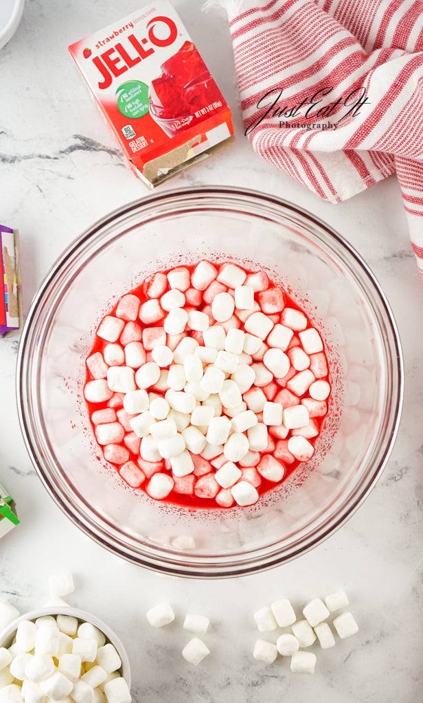 Limited PLR Viral Jell-O Roll-Ups