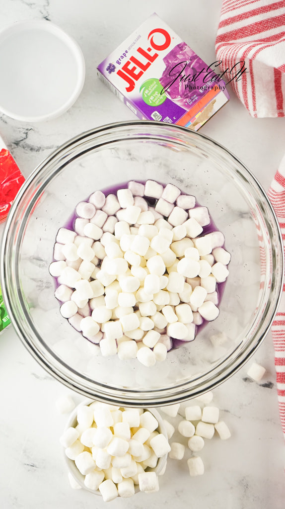 Limited PLR Viral Jell-O Roll-Ups