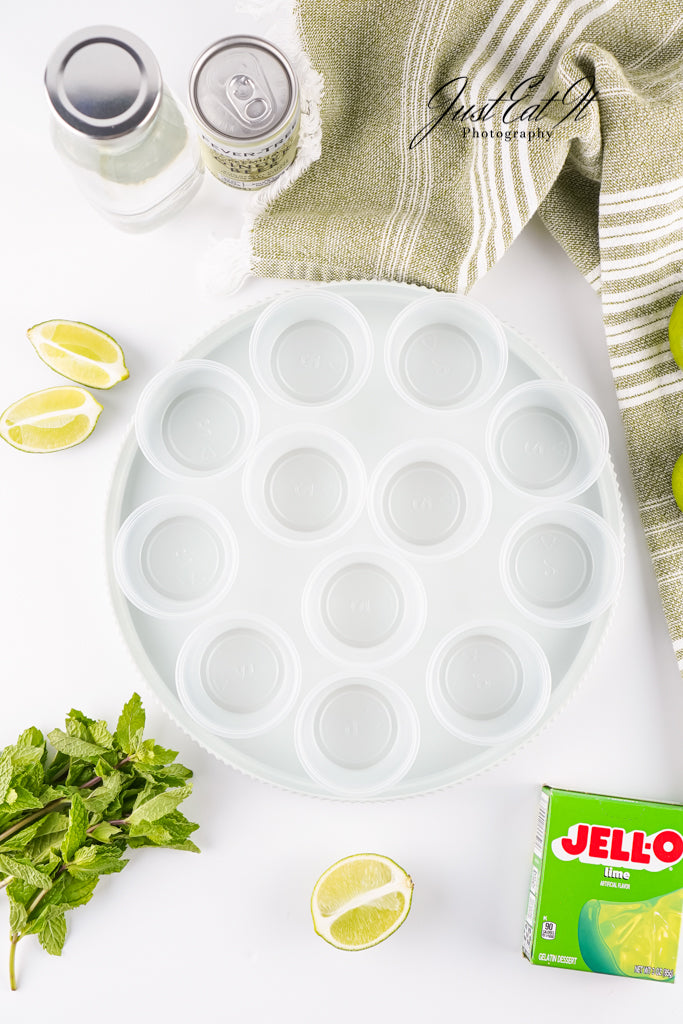 Limited PLR Moscow Mule Jello Shots