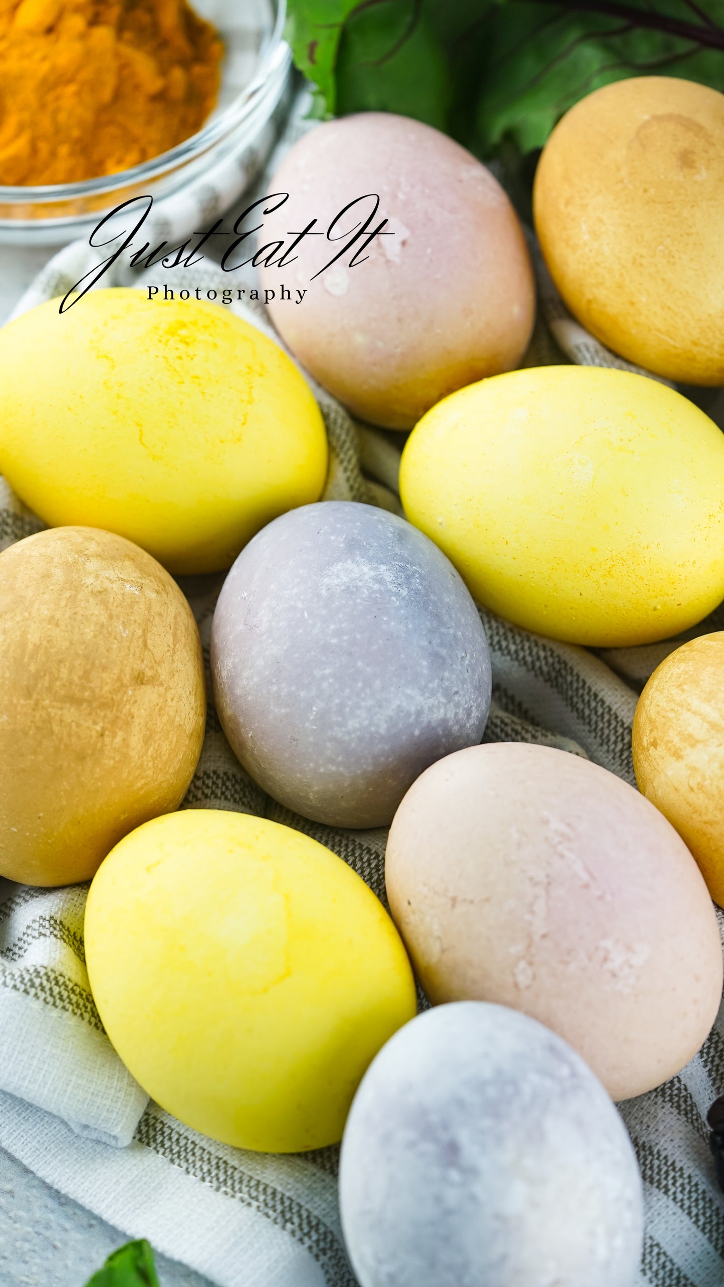all eggs-19.jpg