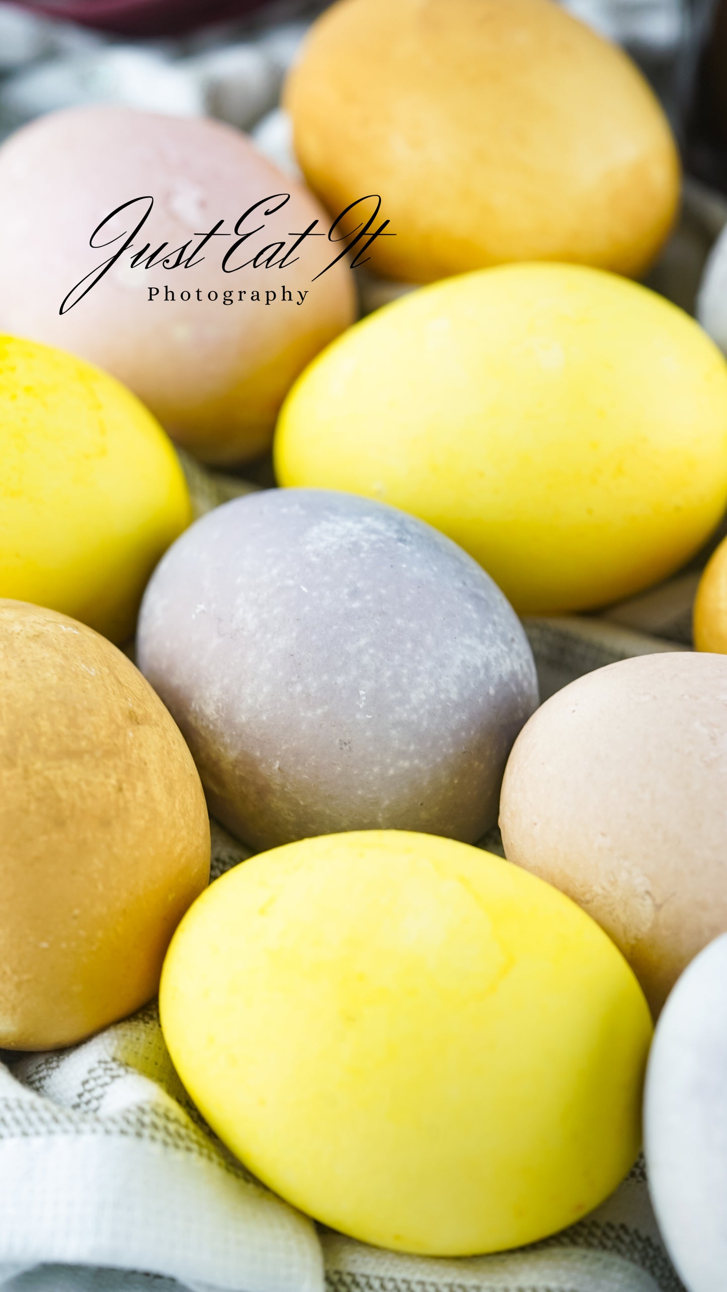 all eggs-28.jpg