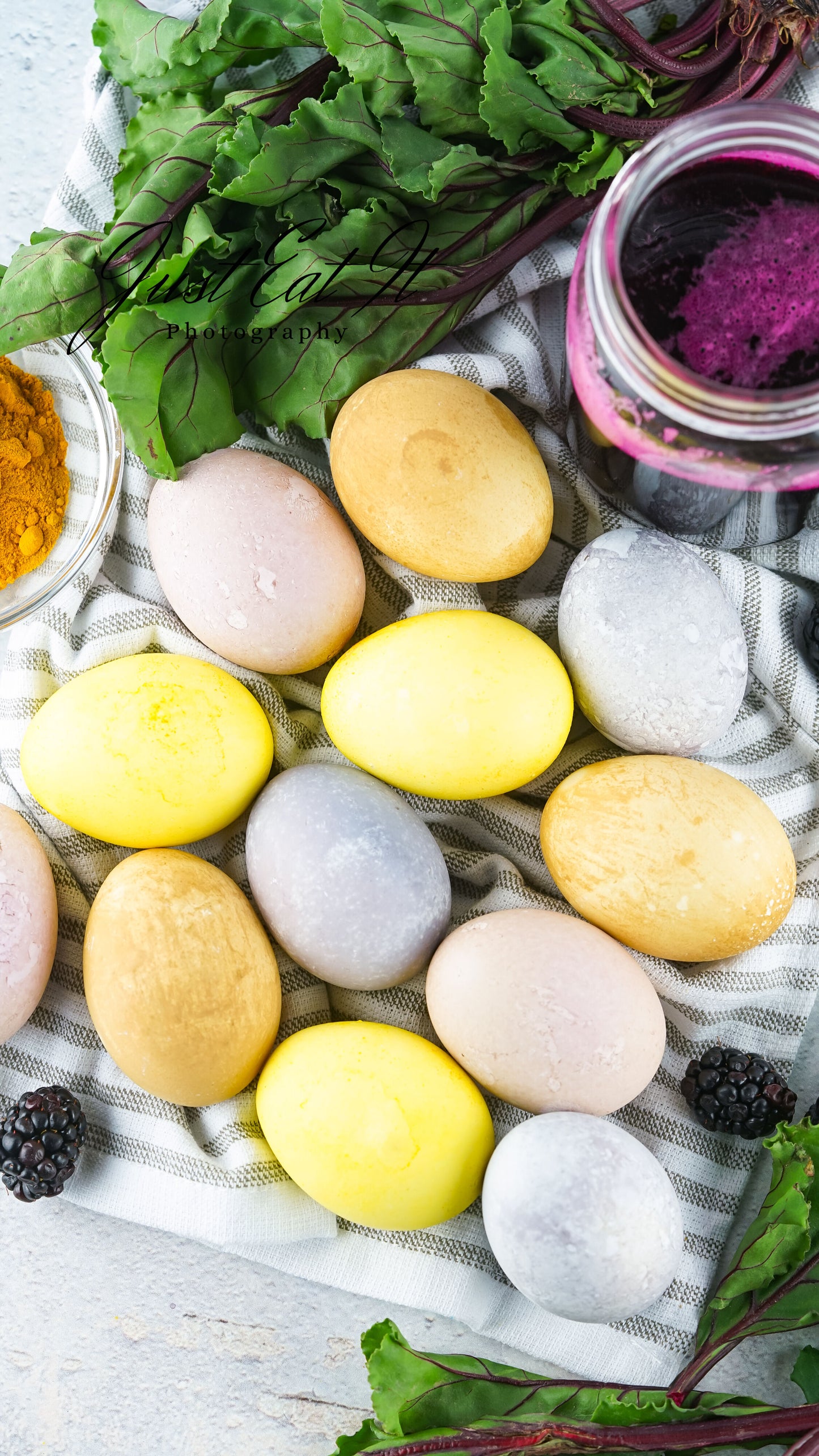 all eggs-22.jpg