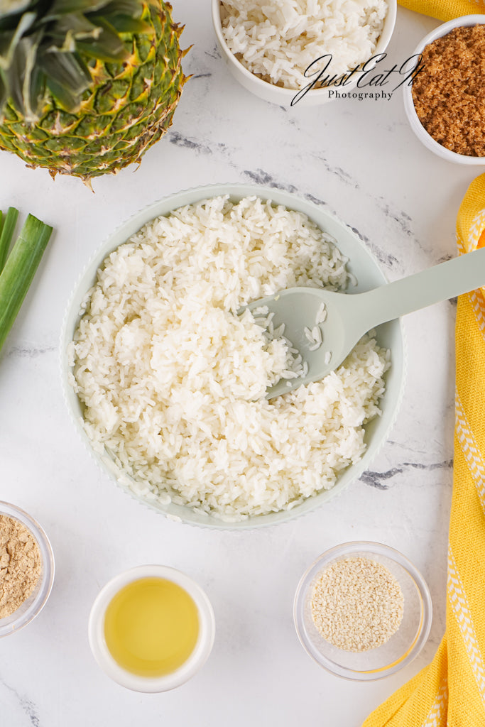 Exclusive Chicken Teriyaki Pineapple Rice Bowls (Meaghan)
