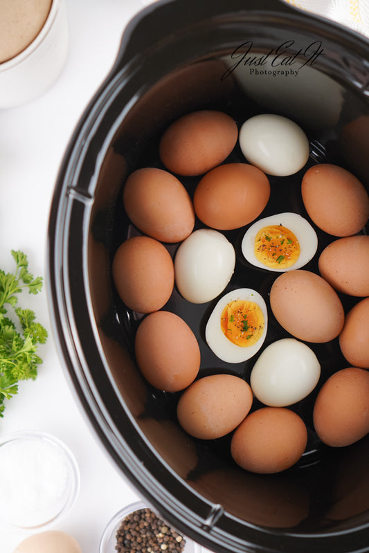 Limited PLR Crockpot Boiled Eggs (Finals Only)