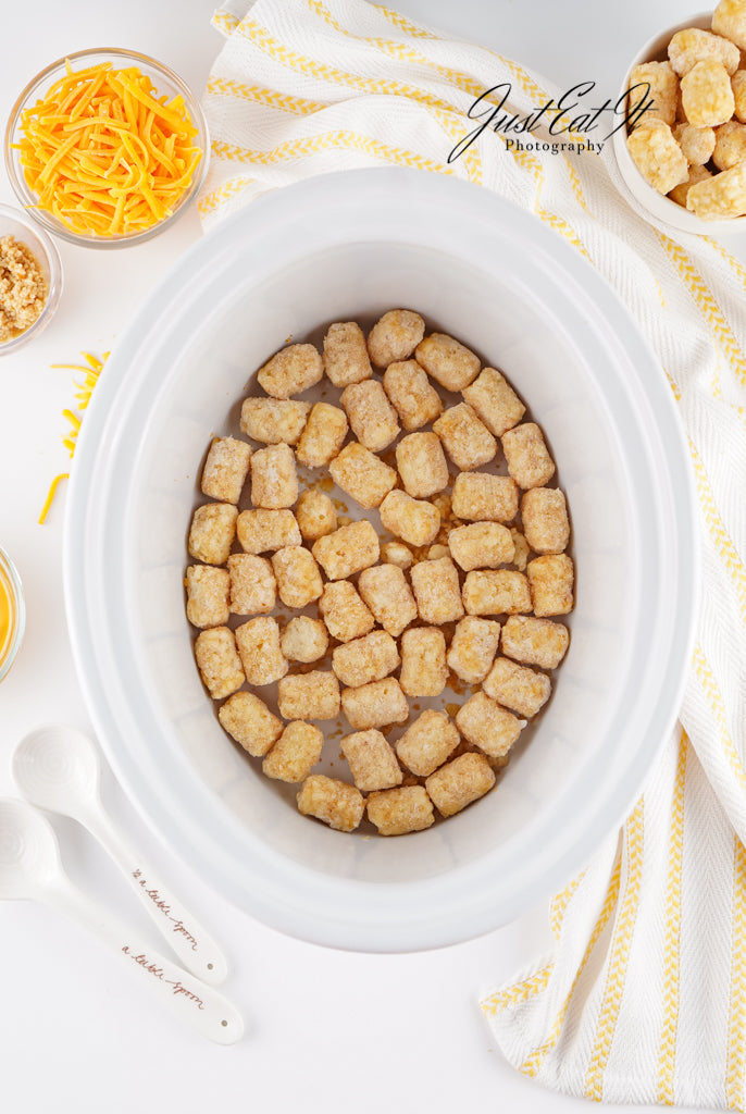 Limited PLR Crockpot Taco Tater Tot Casserole