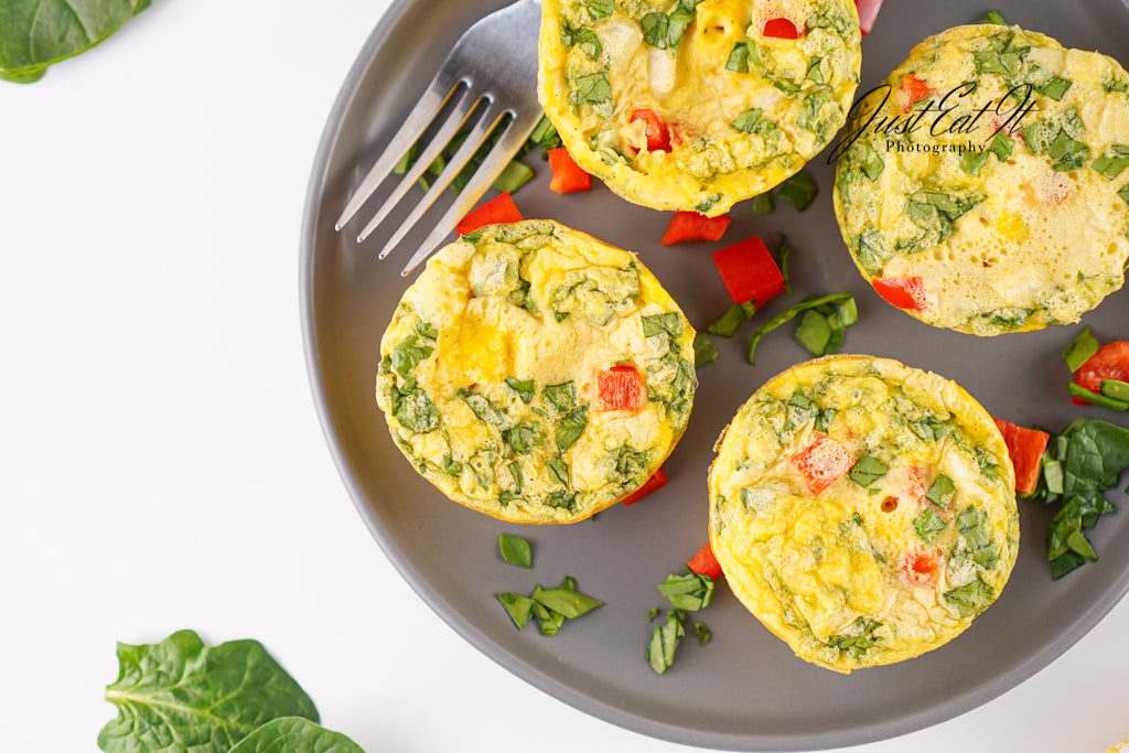 Limited PLR Freezer-Friendly Egg Bites (Finals Only)