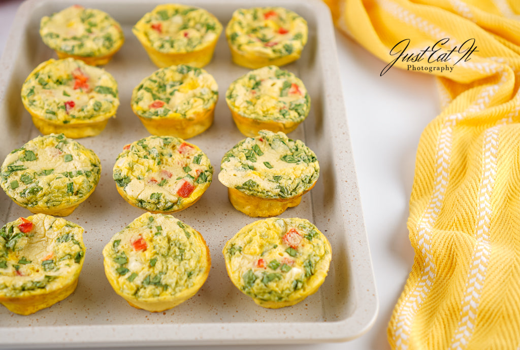 Limited PLR Freezer-Friendly Egg Bites (Finals Only)
