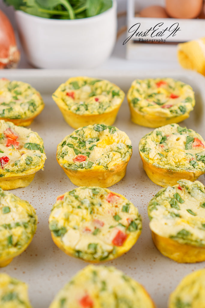 Limited PLR Freezer-Friendly Egg Bites (Finals Only)
