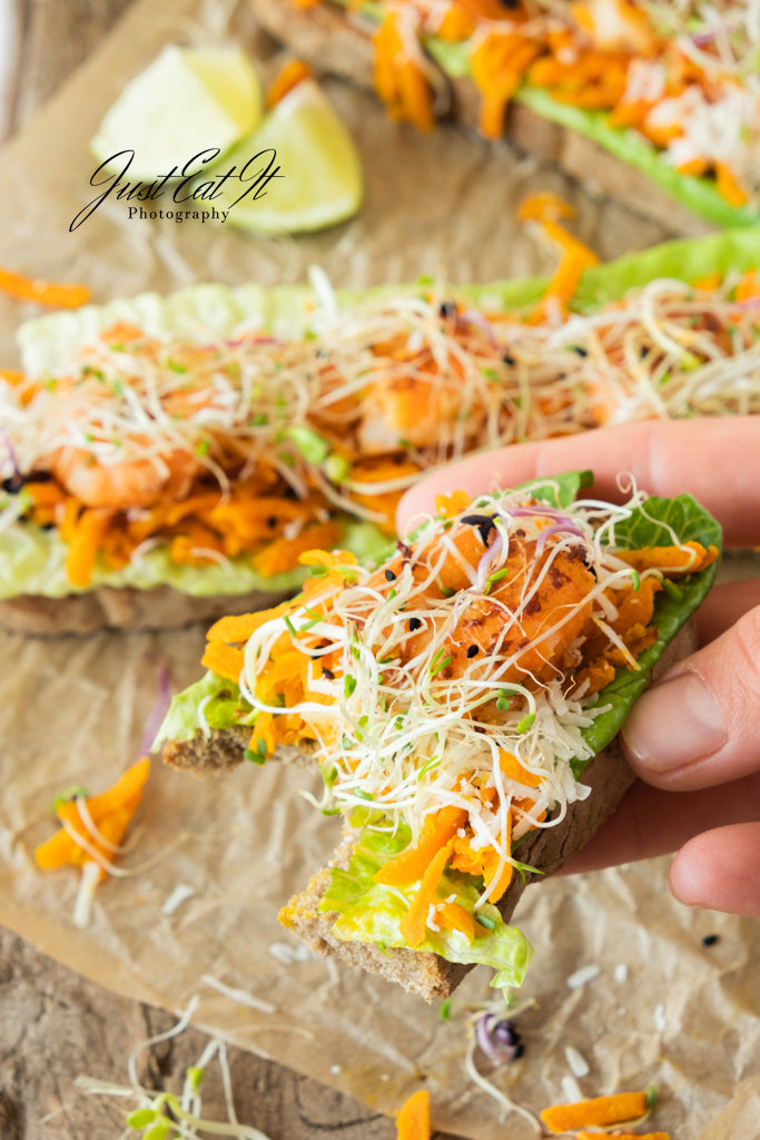 Tostada de camarones PLR limitada